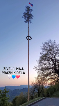 mlaj