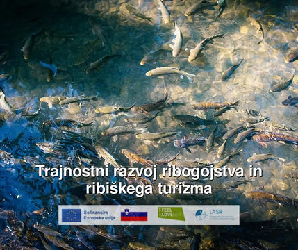 649733368_122275380920181702_3779924940682018076_n